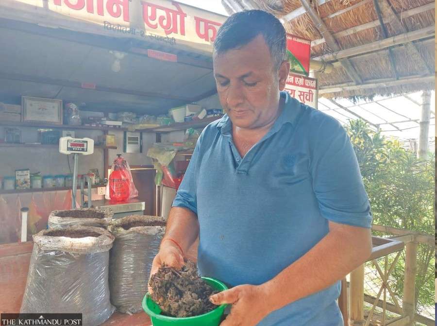  Earthworm production raises farm income